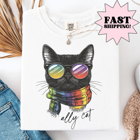 Comfort Colors Pride Shirt, Gay Shirt, LGBTQ Shirt, Lesbian Shirt, Inclusive Shirt, Funny Shirt, Transgender Shirt, Equality Shirt, Ally Cat