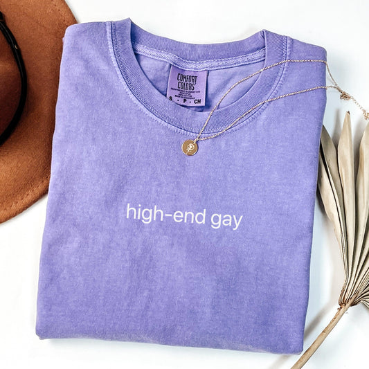 Comfort Colors Gay Shirt, Funny Gay Shirt, High End Gay Shirt, LGBTQ Shirt, Lesbian Shirt, Inclusive Shirt, Equality Tee, Gay Pride Gift