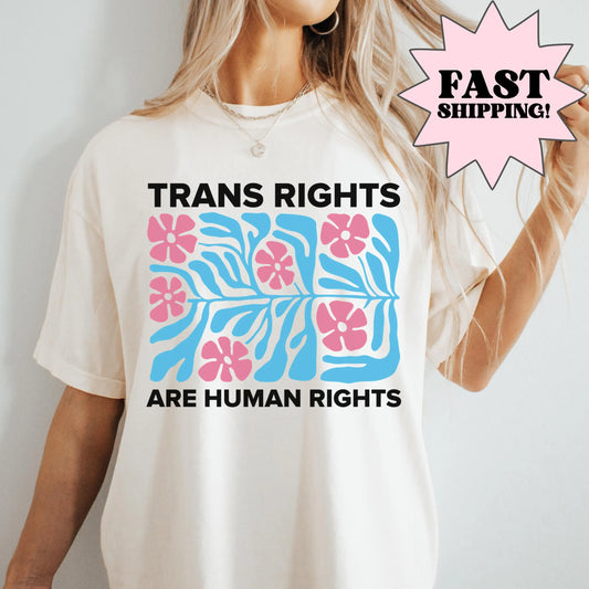 Comfort Colors Pride Shirt, Gay Shirt, LGBTQ Shirt, Lesbian Shirt, Inclusive Shirt, Trans Shirt, Equality Tee, Queer Shirt, Human Rights Tee