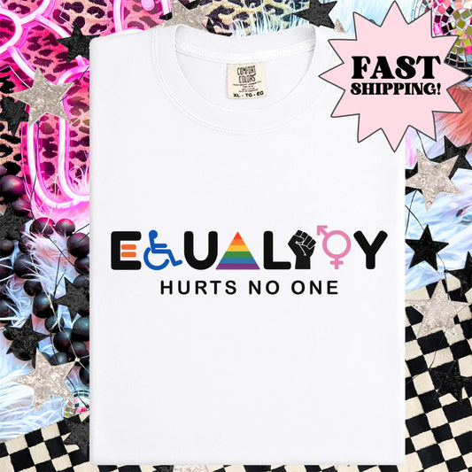 Comfort Colors Pride Shirt, Gay Shirt, LGBTQ Shirt, Lesbian Shirt, Inclusive Shirt, Trans Shirt, Queer Tee, Equality Hurts No One Shirt