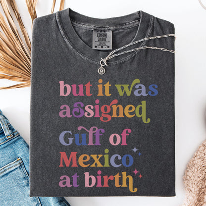 Comfort Colors Gulf Of Mexico Shirt, Trans Shirt, Pride Shirt, Feminist Shirt, America Shirt, Mexico Shirt, Resist Shirt, Transgender Shirt