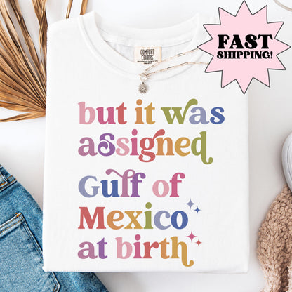 Comfort Colors Gulf Of Mexico Shirt, Trans Shirt, Pride Shirt, Feminist Shirt, America Shirt, Mexico Shirt, Resist Shirt, Transgender Shirt