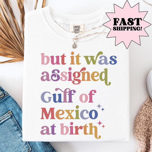 Comfort Colors Gulf Of Mexico Shirt, Trans Shirt, Pride Shirt, Feminist Shirt, America Shirt, Mexico Shirt, Resist Shirt, Transgender Shirt