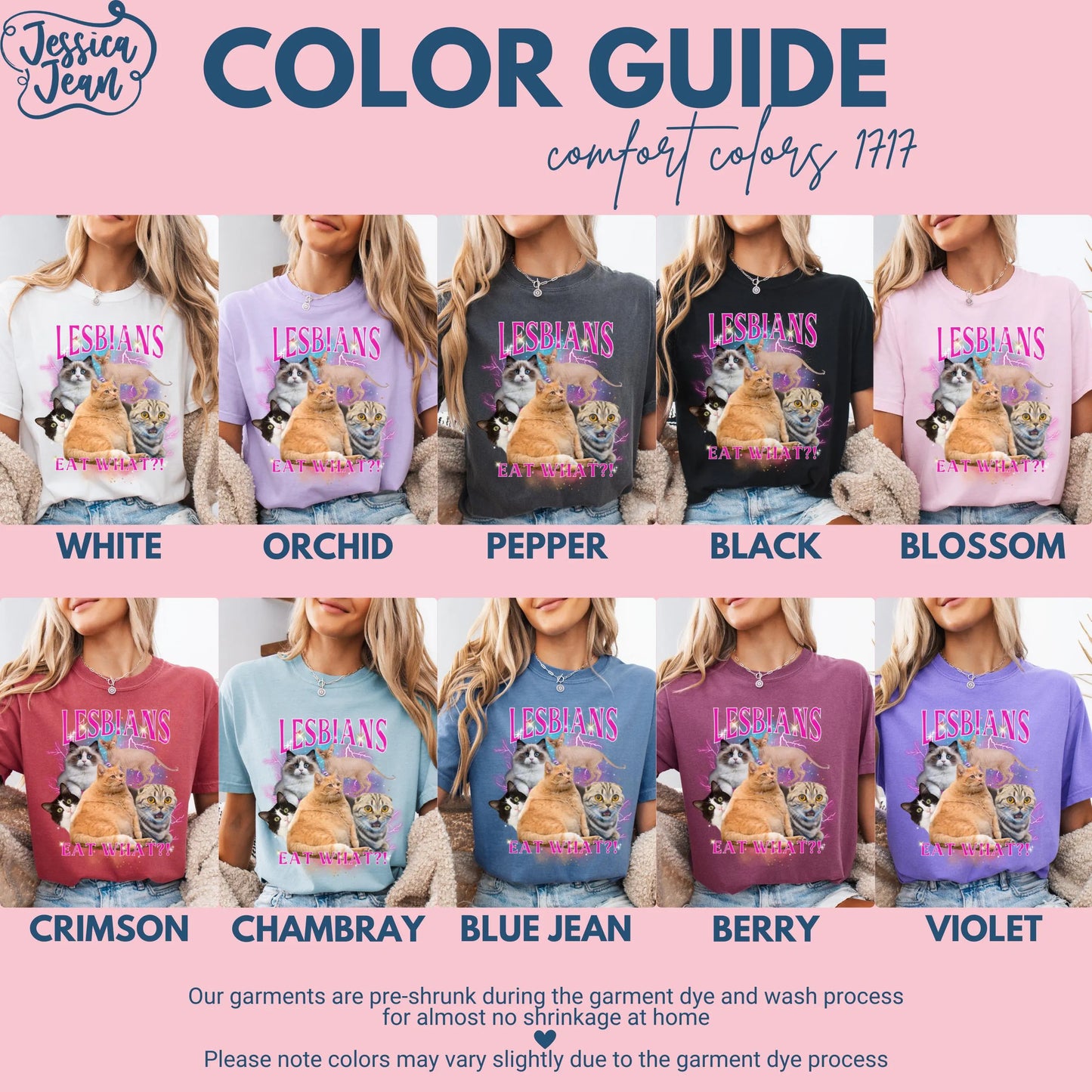 Comfort Colors Lesbian Shirt, Lesbian Pride Shirt, Gay Shirt, LGBTQ Shirt, Cat Shirt, Inclusive Shirt, Lesbians Eat What Shirt, Funny Gift