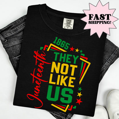 Comfort Colors Black History Shirt, Juneteenth Shirt, Black Liberation Shirt, They Not Like Us Shirt, Juneteenth Tshirt, Black Pride Tee