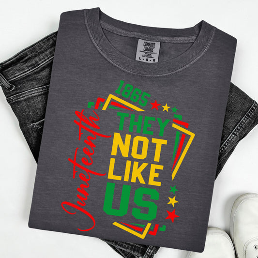 Comfort Colors Black History Shirt, Juneteenth Shirt, Black Liberation Shirt, They Not Like Us Shirt, Juneteenth Tshirt, Black Pride Tee