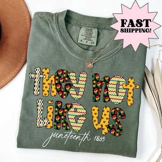 Comfort Colors Black History Shirt, Juneteenth Shirt, Black Liberation Shirt, They Not Like Us Shirt, Juneteenth Tshirt, Black Pride Tee