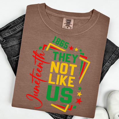 Comfort Colors Black History Shirt, Juneteenth Shirt, Black Liberation Shirt, They Not Like Us Shirt, Juneteenth Tshirt, Black Pride Tee