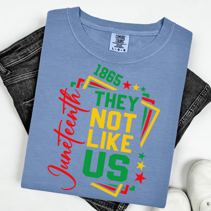 Comfort Colors Black History Shirt, Juneteenth Shirt, Black Liberation Shirt, They Not Like Us Shirt, Juneteenth Tshirt, Black Pride Tee