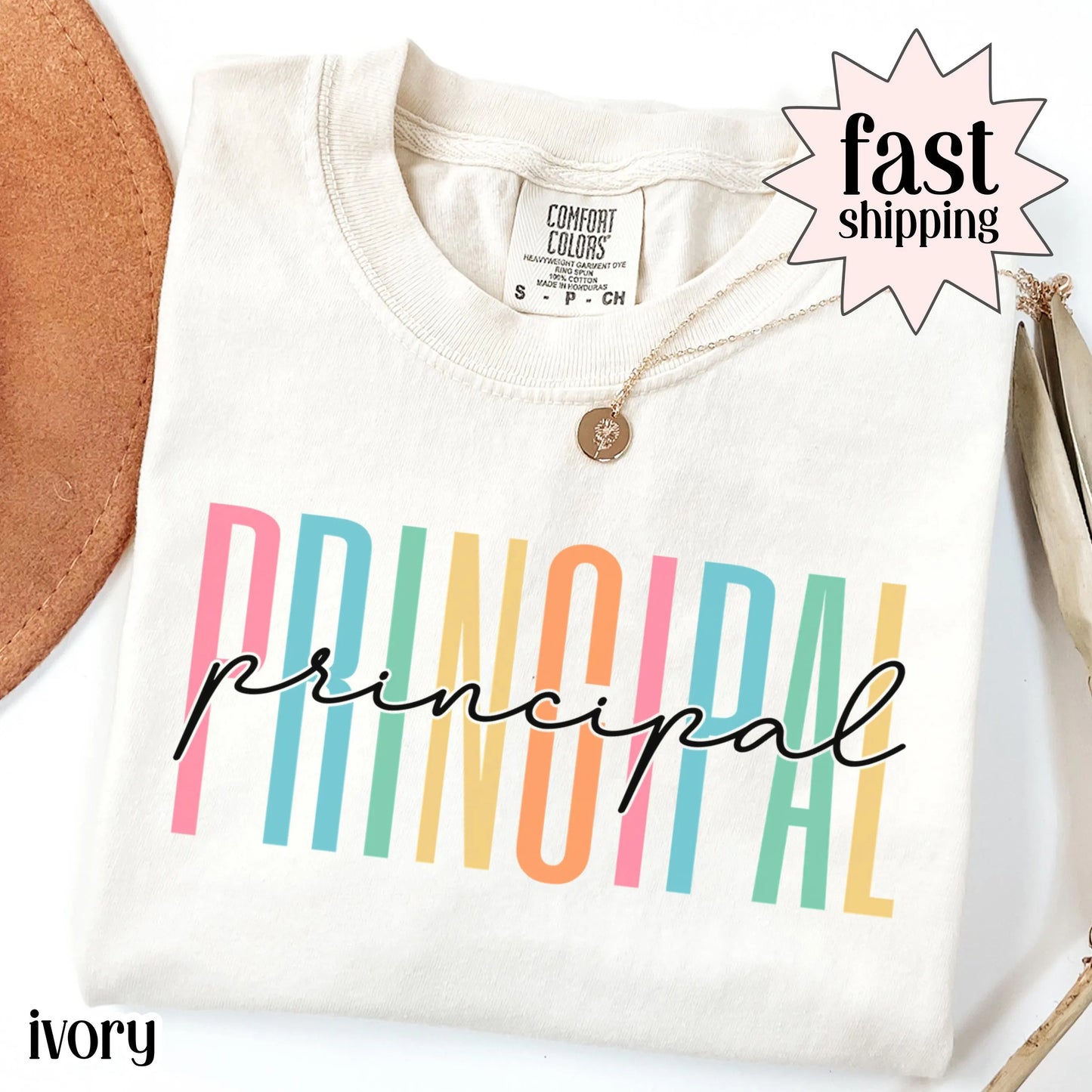 Comfort Colors Principal Shirt Back To School Principal Tee Educator High School Teacher T-Shirt Elementary School Principal Christmas Gift