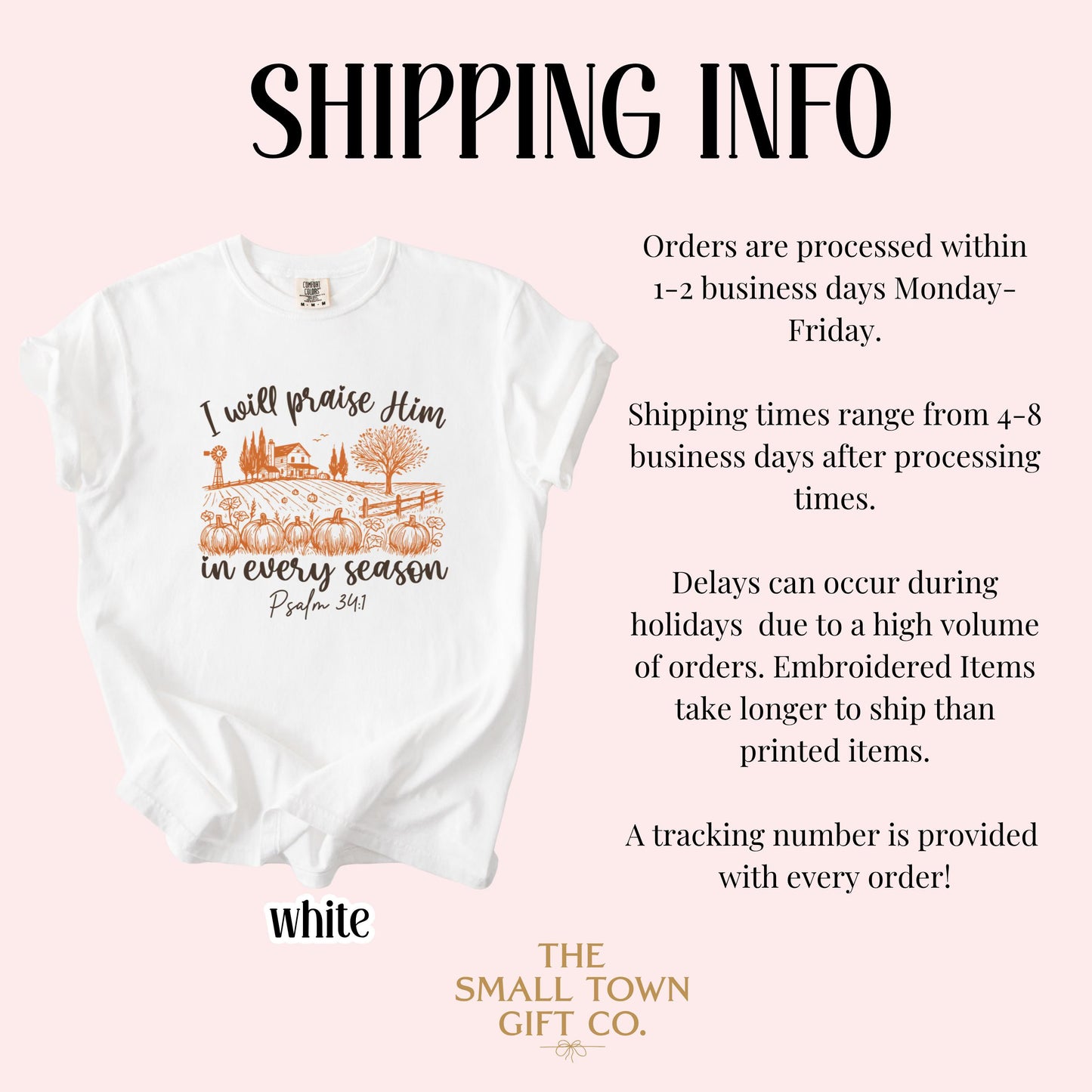 Bible Verse Pumpkin Farm Comfort Colors Tee