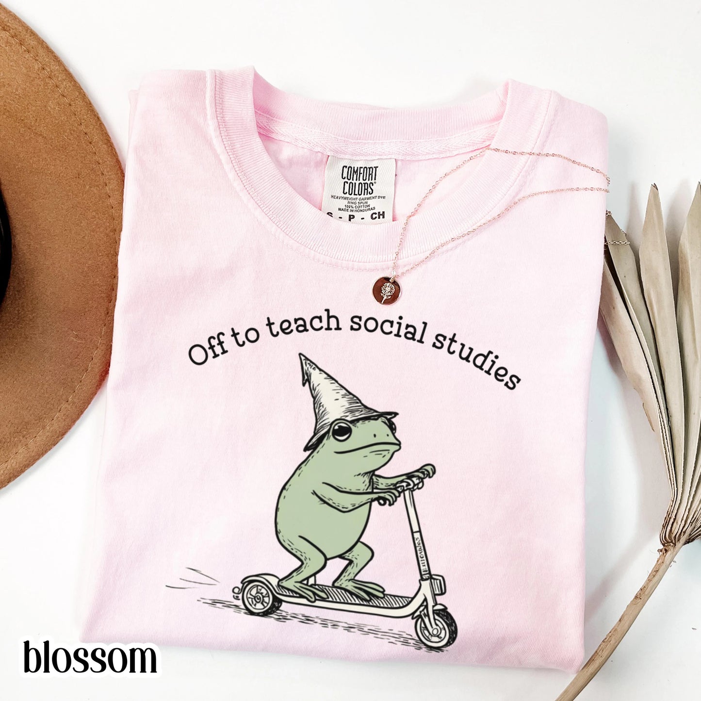 Social Studies Comfort Colors Teacher Shirt Geography Teacher TShirt Back to School Funny Frog Off to Teach Social Studies Society Civic Tee