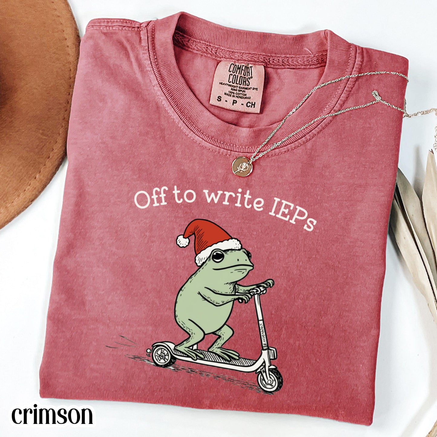 Christmas School Psychologist Shirt Special Education Counselor Comfort Colors Tshirt IEP Tee Frog Scooter Gift For SPED Inclusion Teacher
