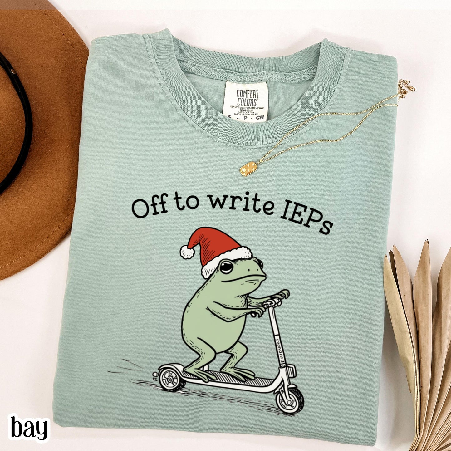 Christmas School Psychologist Shirt Special Education Counselor Comfort Colors Tshirt IEP Tee Frog Scooter Gift For SPED Inclusion Teacher