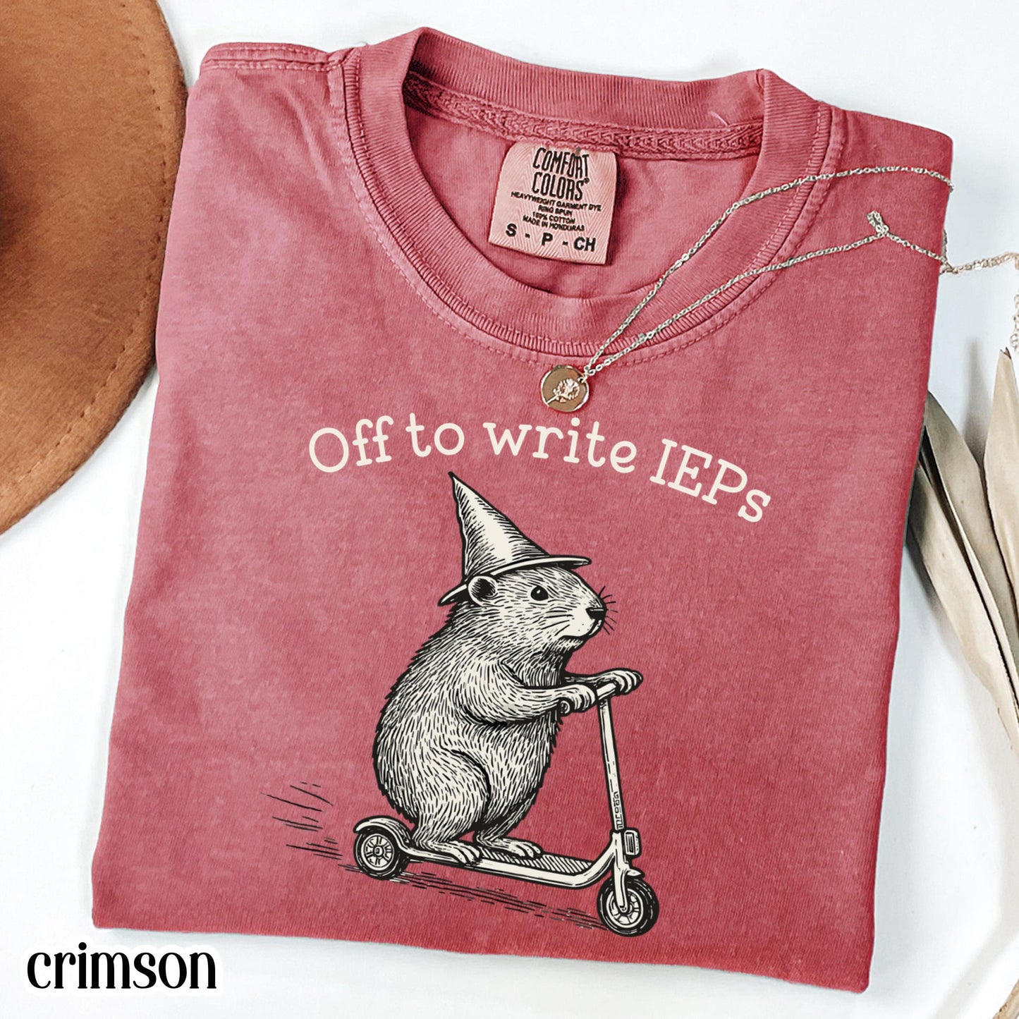 School Psychologist Shirt Special Education Counselor Comfort Colors Tshirt IEP Tee Groundhog Scooter Gift SPED Inclusion Teacher Language