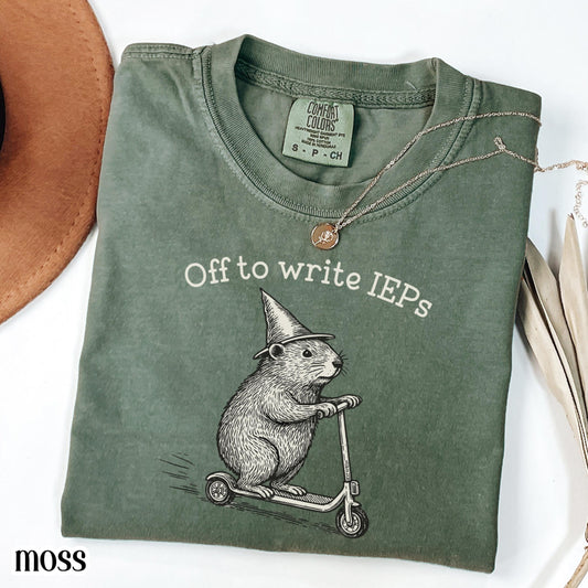 School Psychologist Shirt Special Education Counselor Comfort Colors Tshirt IEP Tee Groundhog Scooter Gift SPED Inclusion Teacher Language