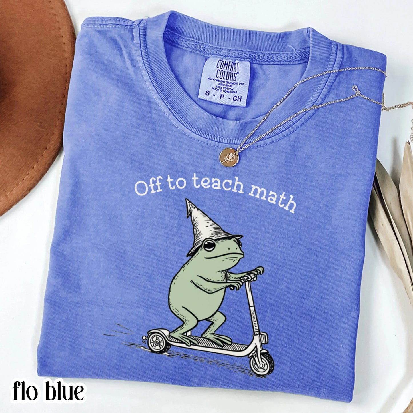 Math Teacher Comfort Colors Shirt Algebra Grade Teacher Tshirt Funny Scooter Frog Off To Teach Statistics T-Shirt Christmas Gift Mathematics