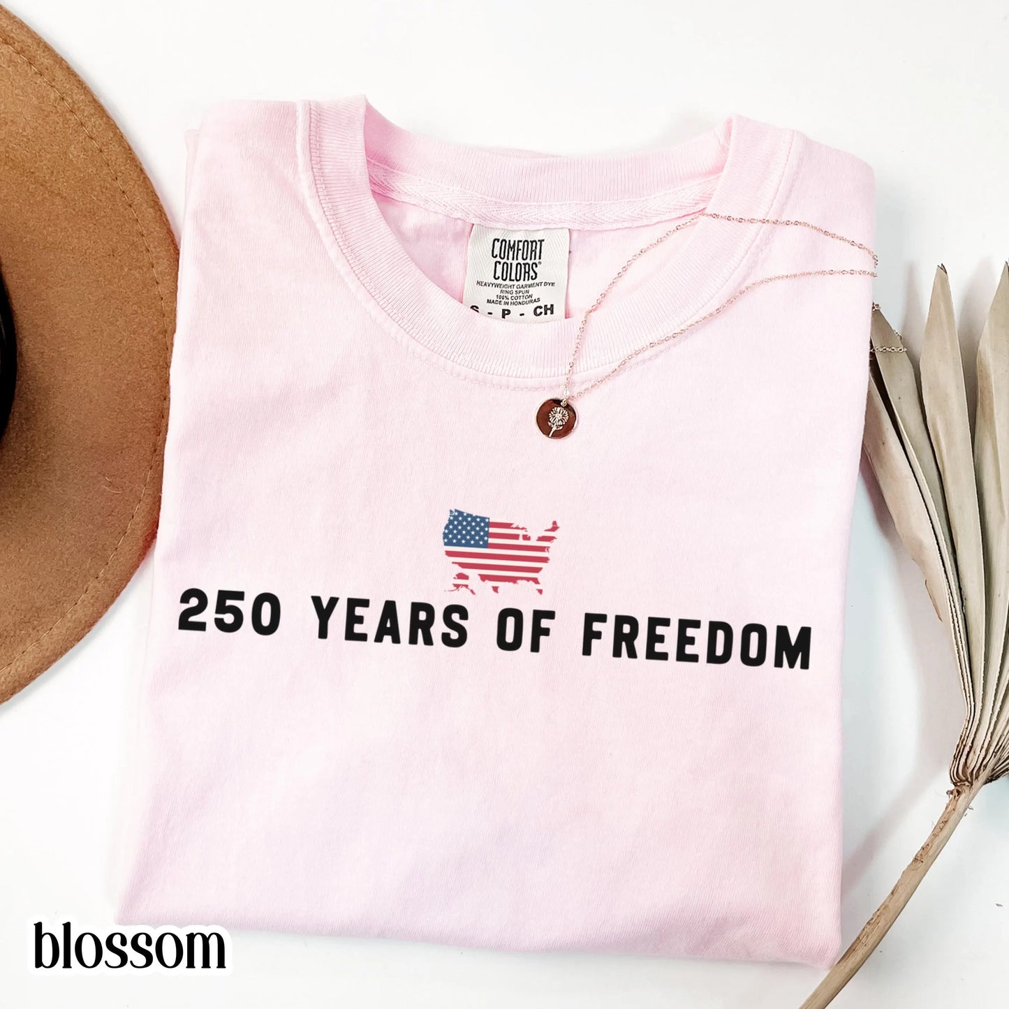 250 Year Anniversary Comfort Colors Shirt USA Map American Flag Tee Fourth of July Independence Day TShirt USA Freedom 4th of July T-Shirt
